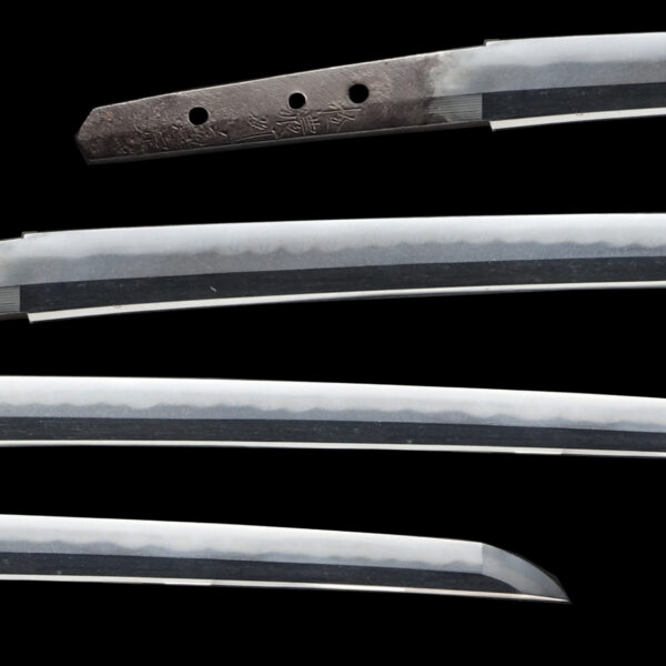 Antique Japanese Sword Katana Signed by Noshu Kanesada <br> NBTHK<span style="color: #ff0000;"><strong> Tokubetsu Hozon</strong> </span>Certificate - Image 2