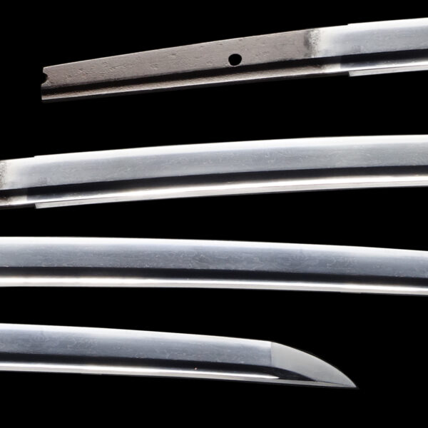 Antique Japanese Sword Katana attributed to Sadamori <br> NBTHK<span style="color: #ff0000;"><strong> Tokubetsu Hozon</strong> </span>Certificate - Image 2
