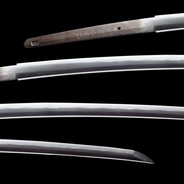 Antique Japanese Sword Katana Signed by Suishinshi Masahide <br> NBTHK<span style="color: #ff0000;"><strong> Tokubetsu Hozon</strong> </span>Certificate - Image 2