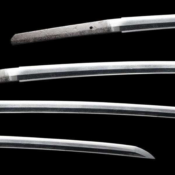 Antique Japanese Sword Katana Signed by Shinjyuro Sukesada<br> NBTHK<span style="color: #ff0000;"> Hozon </span>Certificate - Image 2