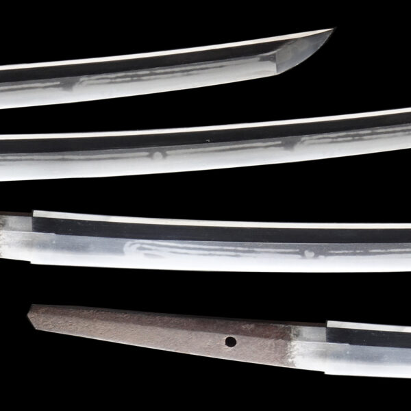 Antique Japanese Sword Wakizashi Signed by Tanba no Kami Yoshimichi <br>NBTHK <span style="color: #ff0000;"><strong> Tokubetsu Hozon</strong> </span>Certificate - Image 3