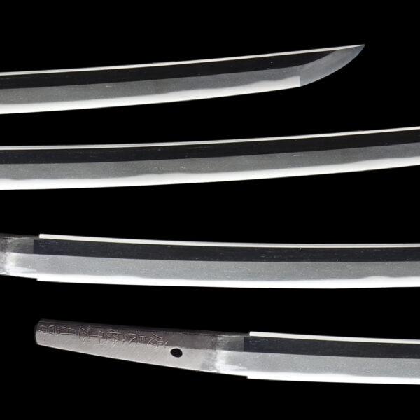 Antique Japanese Sword Wakizashi Signed by the first-gen Masatoshi <br><span style="color: #000000;">NBTHK <span style="color: #5accff;"><strong>JUYO TOKEN</strong></span> Certificate</span> - Image 3