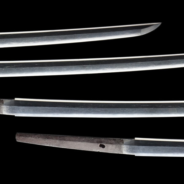 Antique Japanese Sword Katana Signed by Nobukuni Yoshimasa <br> NBTHK<span style="color: #ff0000;"><strong> Tokubetsu Hozon</strong> </span>Certificate - Image 3
