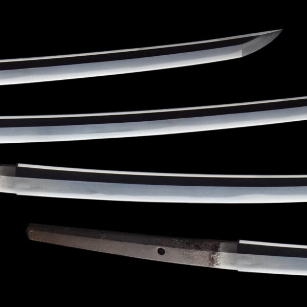 Antique Japanese Sword Katana Signed by Onizuka Yoshikuni<br> NBTHK<span style="color: #ff0000;"><strong> Tokubetsu Hozon</strong> </span>Certificate - Image 3