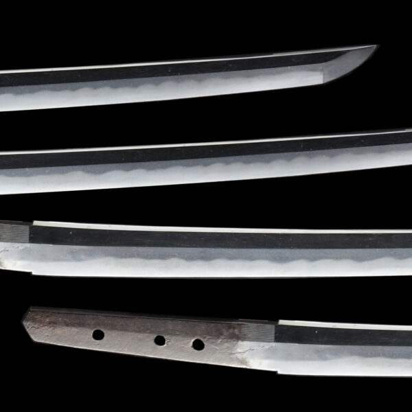 Antique Japanese Sword Katana Signed by Noshu Kanesada <br> NBTHK<span style="color: #ff0000;"><strong> Tokubetsu Hozon</strong> </span>Certificate - Image 3