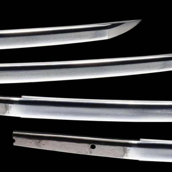 Antique Japanese Sword Katana attributed to Sadamori <br> NBTHK<span style="color: #ff0000;"><strong> Tokubetsu Hozon</strong> </span>Certificate - Image 3