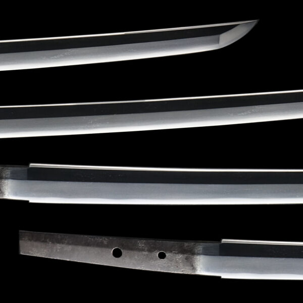 Antique Japanese Sword Katana Signed by Shigekuni<br> NBTHK Tokubetsu Kicho Certificate - Image 3