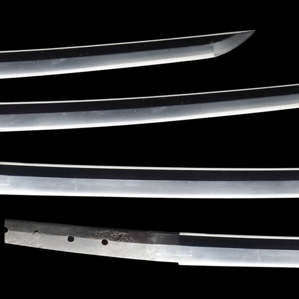 Antique Japanese Sword Katana Attributed to Kongo Hyoe<br> NBTHK<span style="color: #ff0000;"><strong> Tokubetsu Hozon</strong> </span>Certificate - Image 3