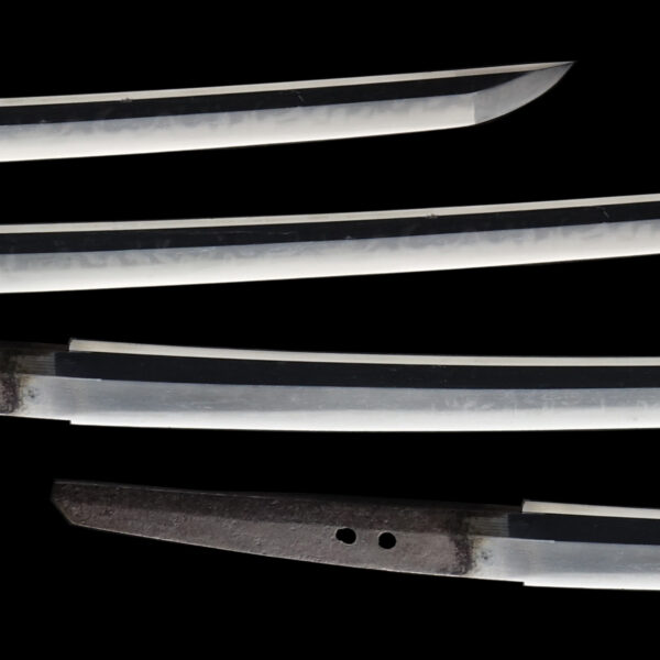 Antique Japanese Sword Wakizashi Signed by Shitahara Hiroshige <br>NBTHK <span style="color: #ff0000;"><strong> Tokubetsu Hozon</strong> </span>Certificate - Image 3