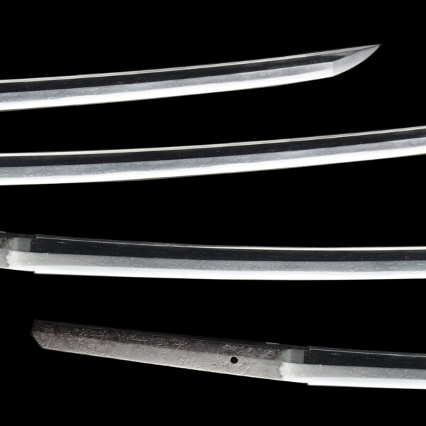 Antique Japanese Sword Katana Signed by Shinjyuro Sukesada<br> NBTHK<span style="color: #ff0000;"> Hozon </span>Certificate - Image 3