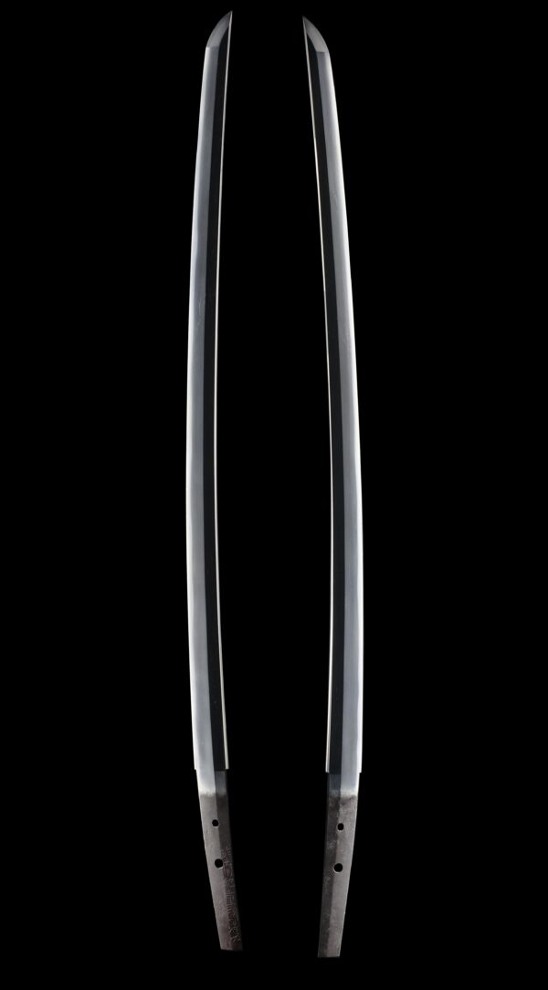 Antique Japanese Sword Katana Signed by Shigekuni<br> NBTHK Tokubetsu Kicho Certificate - Image 7