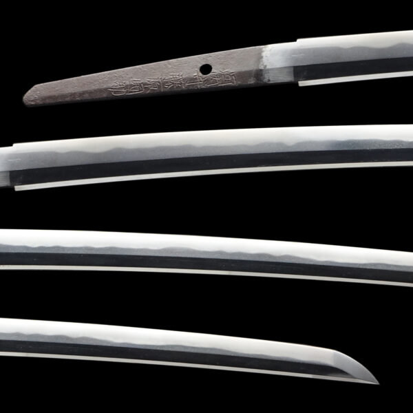 Antique Japanese Sword Katana Signed by the first-gen Kawachi No Kami Fujiwara Kunisuke<br> NBTHK<span style="color: #ff0000;"><strong> Tokubetsu Hozon</strong> </span>Certificate - Image 2