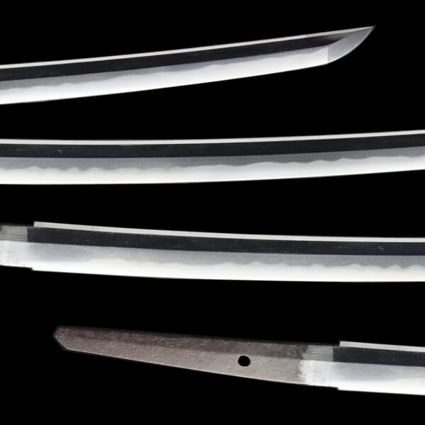 Antique Japanese Sword Katana Signed by the first-gen Kawachi No Kami Fujiwara Kunisuke<br> NBTHK<span style="color: #ff0000;"><strong> Tokubetsu Hozon</strong> </span>Certificate - Image 3