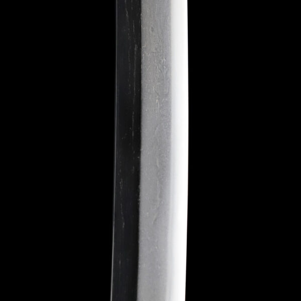 Antique Japanese Sword Wakizashi Signed by Hizen Koku Jyu Tadanori <br>NBTHK <span style="color: #ff0000;">Hozon </span>Certificate - Image 11