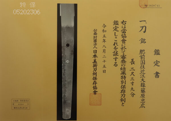Antique Japanese Sword Katana Signed by Omi Daijo Tadahiro<br> NBTHK<span style="color: #ff0000;"><strong> Tokubetsu Hozon</strong> </span>Certificate - Image 20
