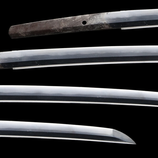 Antique Japanese Sword Wakizashi Attributed to Tada Masatoshi <br> NTHK Kanteisho Certificate - Image 2