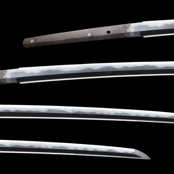 Antique Japanese Sword Katana Signed by Omi Daijo Tadahiro<br> NBTHK<span style="color: #ff0000;"><strong> Tokubetsu Hozon</strong> </span>Certificate - Image 2