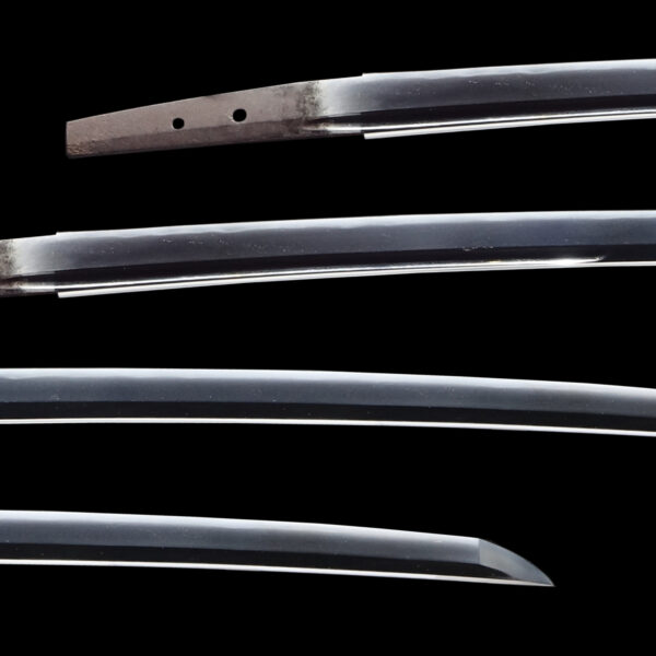 Antique Japanese Sword Katana attributed to Izumi no Kami Kaneshige<br> NBTHK <span style="color: #ff0000;">Hozon </span>Certificate - Image 2