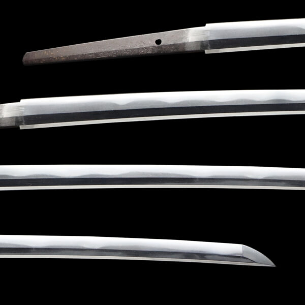 Antique Japanese Sword Katana Signed by Yamashiro Daijo Minamoto Kunishige<br> NBTHK<span style="color: #ff0000;"><strong> Tokubetsu Hozon</strong> </span>Certificate - Image 2