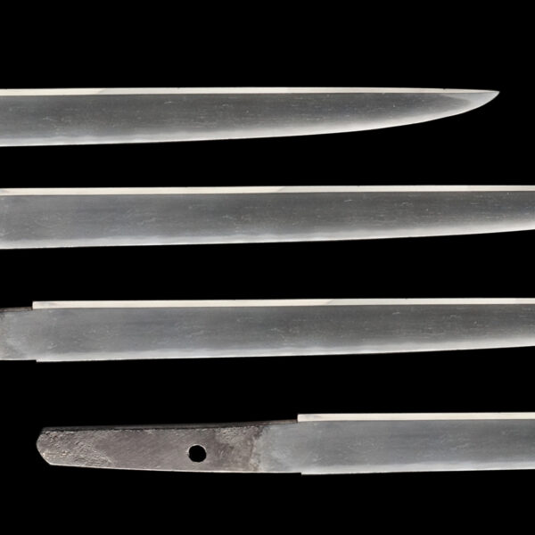 Antique Japanese Sword Tanto Signed by Kanemoto<br> NBTHK <span style="color: #ff0000;">Hozon </span>Certificate - Image 3