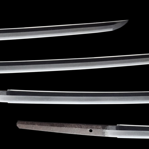 Antique Japanese Sword Katana Signed by Fujiwara Kunihiro <br> NBTHK<span style="color: #ff0000;"><strong> Tokubetsu Hozon</strong> </span>Certificate - Image 3