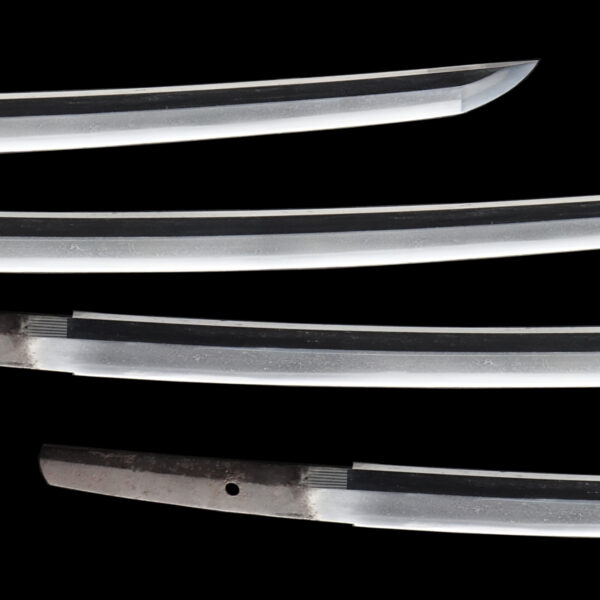 Antique Japanese Sword Wakizashi Signed by Hizen Koku Jyu Tadanori <br>NBTHK <span style="color: #ff0000;">Hozon </span>Certificate - Image 3