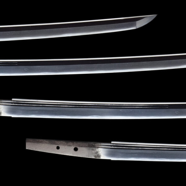 Antique Japanese Sword Katana attributed to Izumi no Kami Kaneshige<br> NBTHK <span style="color: #ff0000;">Hozon </span>Certificate - Image 3