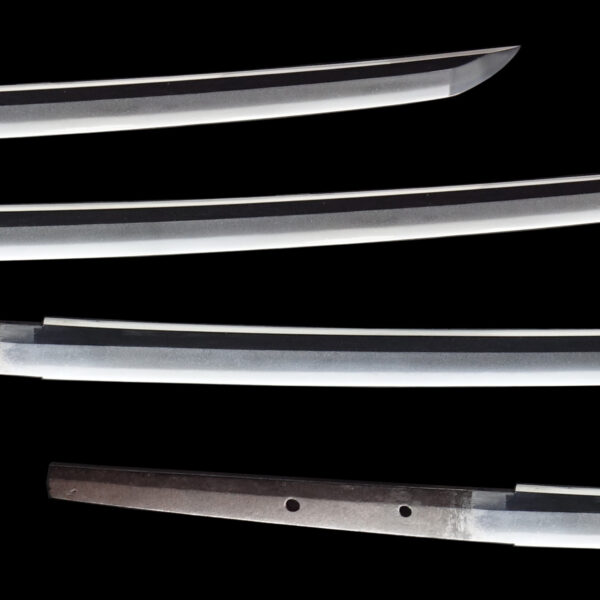 Antique Japanese Sword Katana attributed to the first-gen Tadayoshi <br>NBTHK <span style="color: #ff0000;">Hozon </span>Certificate - Image 3