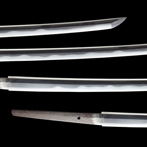 Antique Japanese Sword Katana Signed by Yamashiro Daijo Minamoto Kunishige<br> NBTHK<span style="color: #ff0000;"><strong> Tokubetsu Hozon</strong> </span>Certificate - Image 3