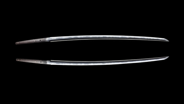 Antique Japanese Sword Katana Signed by Omi Daijo Tadahiro<br> NBTHK<span style="color: #ff0000;"><strong> Tokubetsu Hozon</strong> </span>Certificate - Image 12