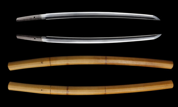 Antique Japanese Sword Wakizashi Signed by Hizen Koku Jyu Tadanori <br>NBTHK <span style="color: #ff0000;">Hozon </span>Certificate - Image 13