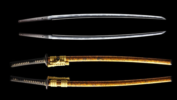 Antique Japanese Sword Katana Signed by Omi Daijo Tadahiro<br> NBTHK<span style="color: #ff0000;"><strong> Tokubetsu Hozon</strong> </span>Certificate - Image 13