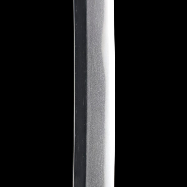 Antique Japanese Sword Katana Signed by Omi Daijo Fujiwara Tadahiro<br> NBTHK<span style="color: #ff0000;"><strong> Tokubetsu Hozon</strong> </span>Certificate - Image 11