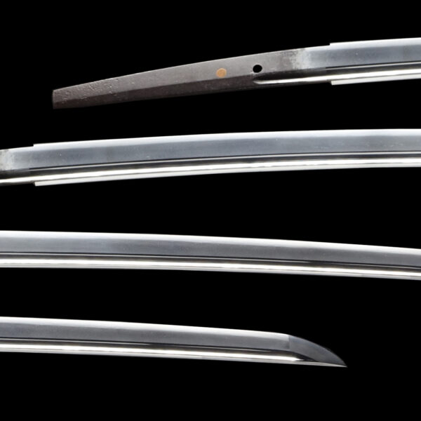 Antique Japanese Sword Katana Signed by the first-gen Hizen Koku Tadayoshi<br> NBTHK <span style="color: #ff0000;">Hozon </span>Certificate - Image 2