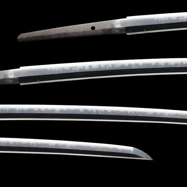 Antique Japanese Sword Katana Signed by Fujiwara Yukimitsu<br> NBTHK<span style="color: #ff0000;"><strong> Tokubetsu Hozon</strong> </span>Certificate - Image 2