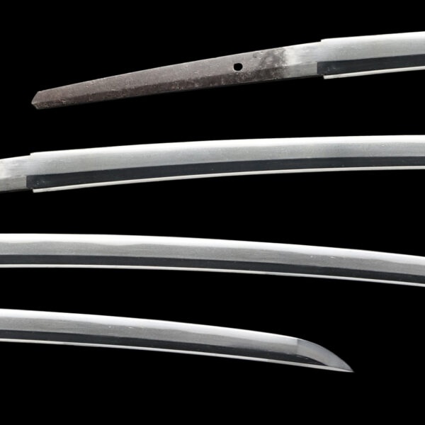 Antique Japanese Sword Katana Signed by Omi Daijo Fujiwara Tadahiro<br> NBTHK<span style="color: #ff0000;"><strong> Tokubetsu Hozon</strong> </span>Certificate - Image 2