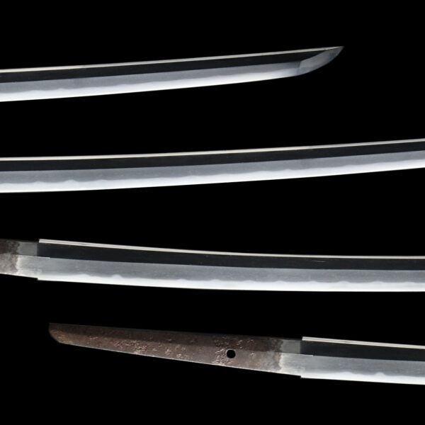 Antique Japanese Sword Katana Signed by Fujiwara Saneyuki<br> NBTHK<span style="color: #ff0000;"><strong> Tokubetsu Hozon</strong> </span>Certificate - Image 3