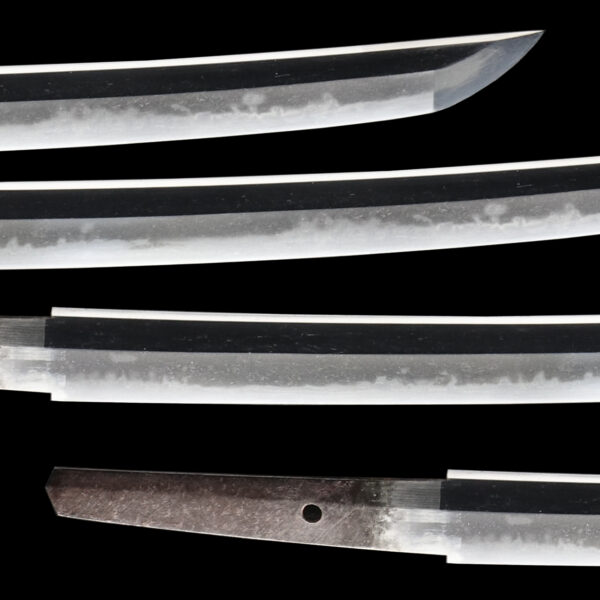 Antique Japanese Sword Wakizashi Signed by Minamoto Kunihide<br> NBTHK <span style="color: #ff0000;">Hozon</span> Certificate - Image 3