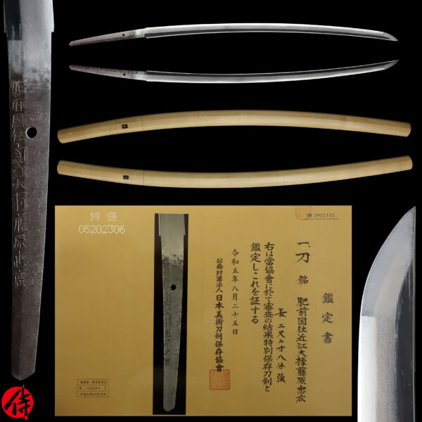 Antique Japanese Sword Katana Signed by Omi Daijo Fujiwara Tadahiro<br> NBTHK<span style="color: #ff0000;"><strong> Tokubetsu Hozon</strong> </span>Certificate