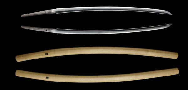 Antique Japanese Sword Katana Signed by Omi Daijo Fujiwara Tadahiro<br> NBTHK<span style="color: #ff0000;"><strong> Tokubetsu Hozon</strong> </span>Certificate - Image 13