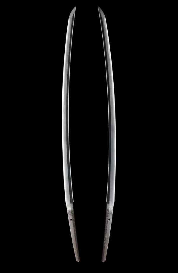 Antique Japanese Sword Katana Signed by Omi Daijo Fujiwara Tadahiro<br> NBTHK<span style="color: #ff0000;"><strong> Tokubetsu Hozon</strong> </span>Certificate - Image 7
