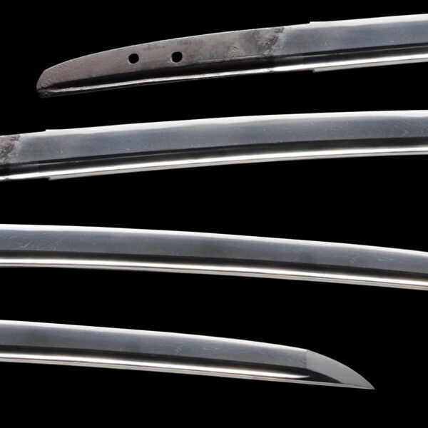 Antique Japanese Sword Wakizashi attributed to Tsukushi Ryokai <br>NBTHK <span style="color: #ff0000;">Hozon </span>Certificate - Image 2
