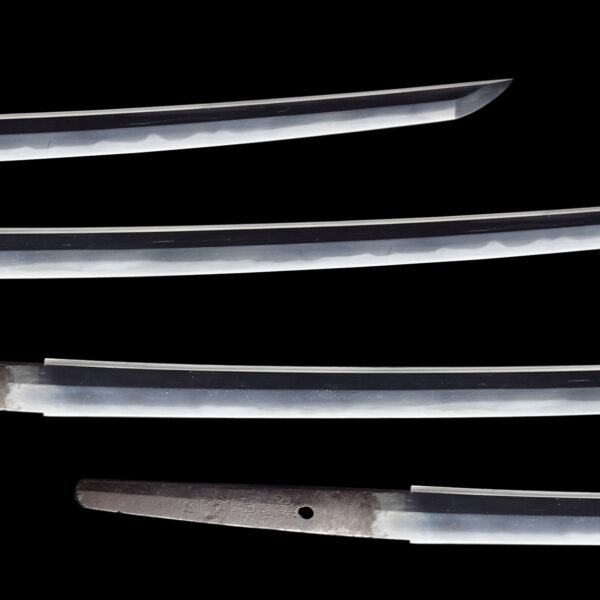 Antique Japanese Sword Katana Signed by Hitachi Daijou Minamoto No Oshige <br> NBTHK<span style="color: #ff0000;"><strong> Tokubetsu Hozon</strong> </span>Certificate - Image 3