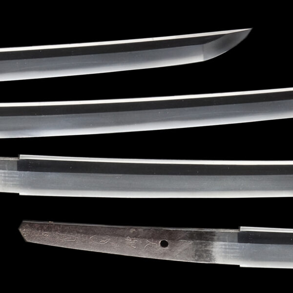 Antique Japanese Sword Wakizashi Signed by Sukenao <br>NBTHK <span style="color: #ff0000;"><strong> Tokubetsu Hozon</strong> </span>Certificate - Image 3