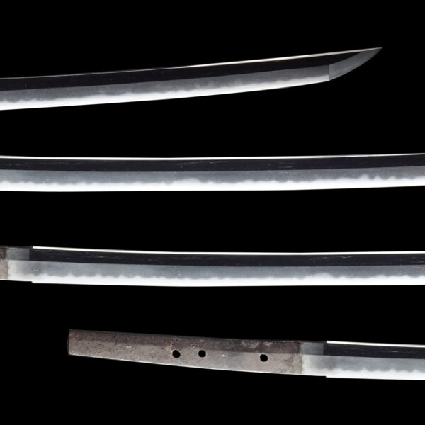 Antique Japanese Sword Katana Signed by Kanemune<br> NBTHK<span style="color: #ff0000;"><strong> Tokubetsu Hozon</strong> </span>Certificate - Image 3
