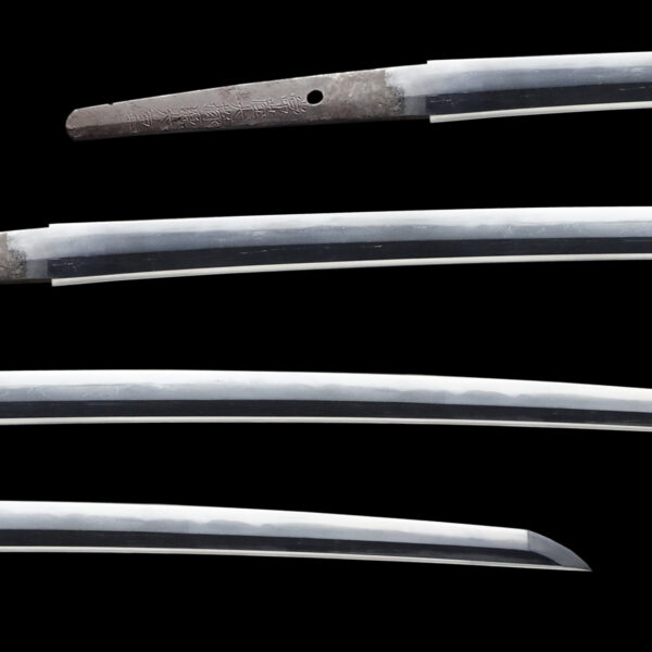 Antique Japanese Sword Katana Signed by Hitachi Daijou Minamoto No Oshige <br> NBTHK<span style="color: #ff0000;"><strong> Tokubetsu Hozon</strong> </span>Certificate - Image 2