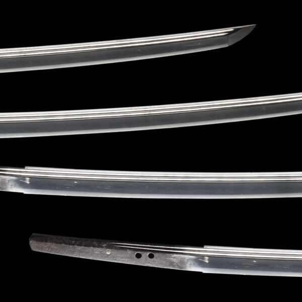 Antique Japanese Sword Katana attributed to Den Unji <br><span style="color: #000000;">NBTHK <span style="color: #5accff;"><strong>JUYO TOKEN</strong></span> Certificate</span> - Image 3