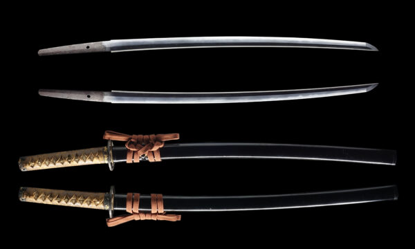 Antique Japanese Sword Katana Signed by Hitachi Daijou Minamoto No Oshige <br> NBTHK<span style="color: #ff0000;"><strong> Tokubetsu Hozon</strong> </span>Certificate - Image 13
