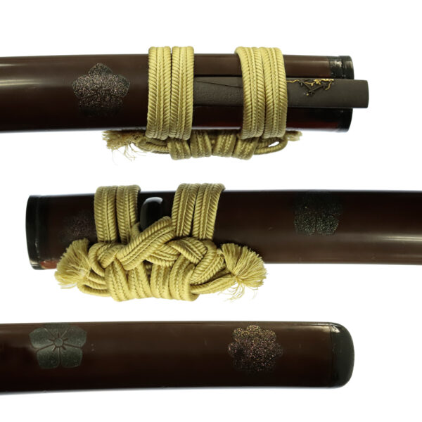 Antique Japanese Sword Wakizashi Signed by the first-gen Sukehiro<br> NBTHK <span style="color: #ff0000;"><strong> Tokubetsu Hozon</strong> </span>Certificate - Image 21