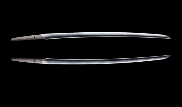 Antique Japanese Sword Katana Signed by Hitachi Daijou Minamoto No Oshige <br> NBTHK<span style="color: #ff0000;"><strong> Tokubetsu Hozon</strong> </span>Certificate - Image 12